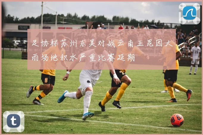足协杯苏州东吴对战云南玉昆因大雨场地积水严重比赛延期