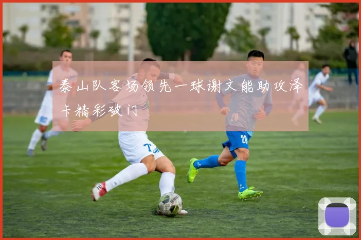 泰山队客场领先一球谢文能助攻泽卡精彩破门