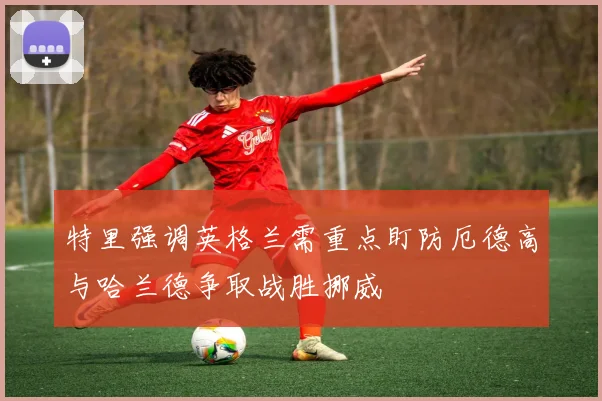 特里强调英格兰需重点盯防厄德高与哈兰德争取战胜挪威
