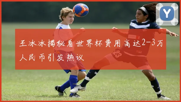 王冰冰揭秘看世界杯费用高达2-3万人民币引发热议